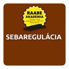 INKLÚZIA a DIGITALIZÁCIA – SEBAREGULÁCIA INKLÚZIA a DIGITALIZÁCIA – SEBAREGULÁCIA