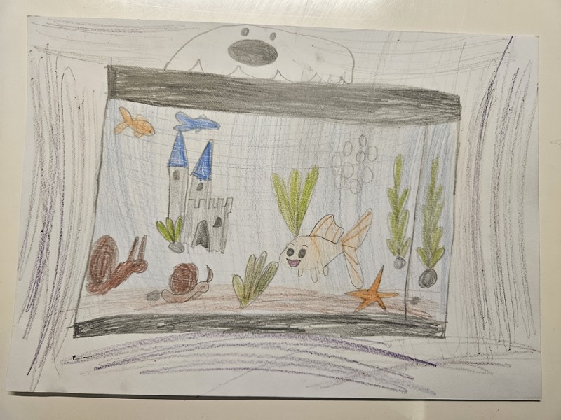 035_Milena Serdiukova, ZŠ Gorazdova 2, Púchov