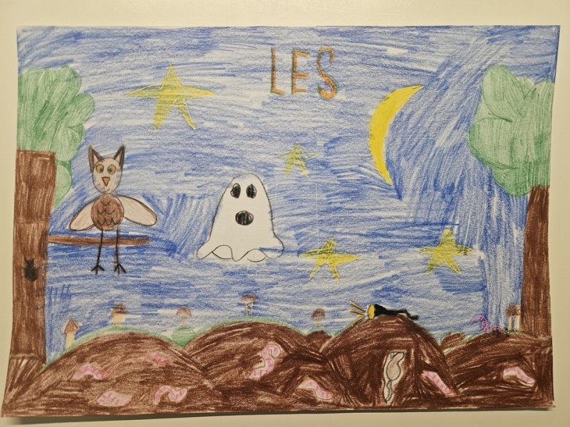 045_Amelia Rosová, ZŠ s MŠ Hradná 64, Súľov