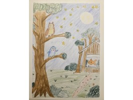 052_Ela Rošincová, ZŠ Ľ. Štúra Pionierska 4, Šaľa