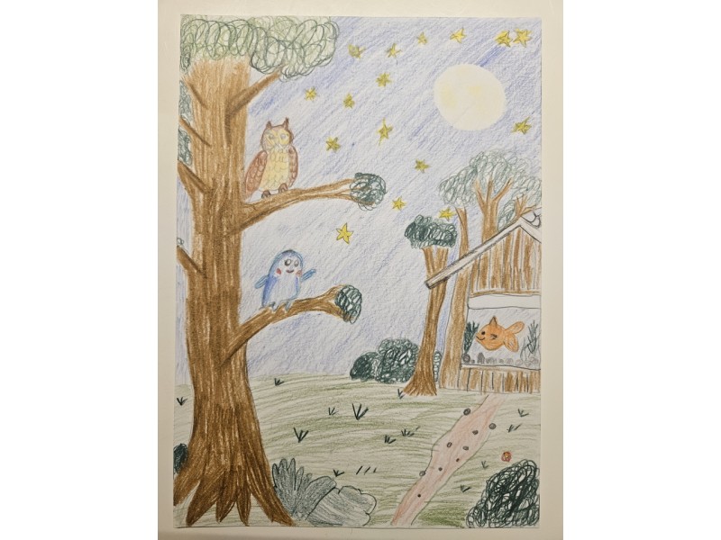 052_Ela Rošincová, ZŠ Ľ. Štúra Pionierska 4, Šaľa