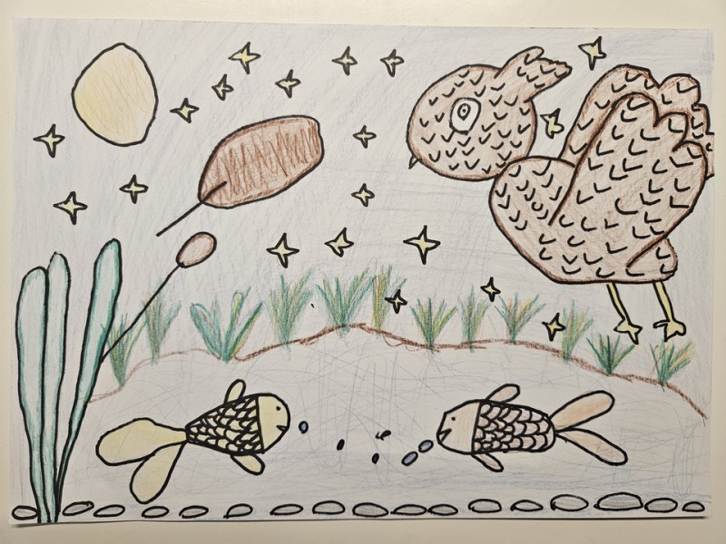 061_Hana Boboková, ZŠ Pribinova 9, Nováky