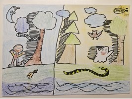 075_Martin Štítik, ZŠ Holíčska 50, Bratislava