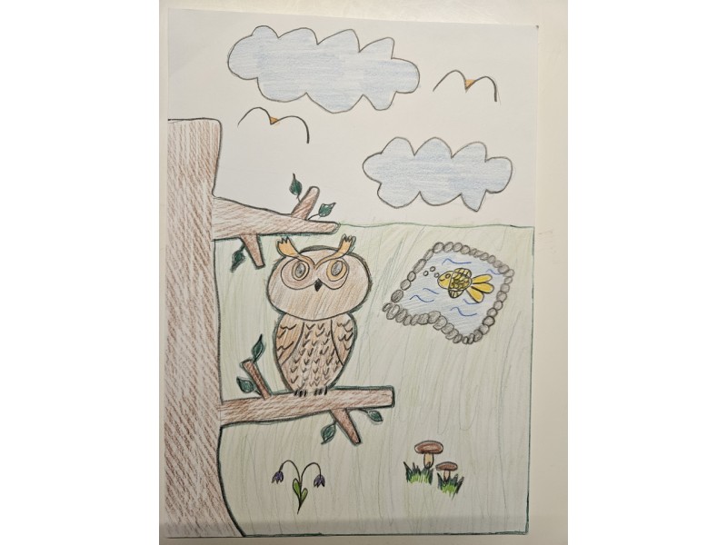 091_Klára Hutková, Spojená škola ul. M. Hattalu 2151 org. zložka ZŠ, Dolný Kubín