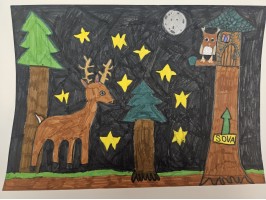 125_Klára Samešová, ZŠ ul. L. Novomeského 11, Trenčín