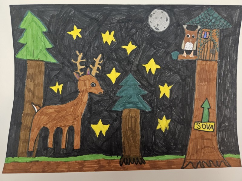 125_Klára Samešová, ZŠ ul. L. Novomeského 11, Trenčín