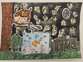 160_Adam Pekara, ZŠ Stránske 80, Rajecké Teplice