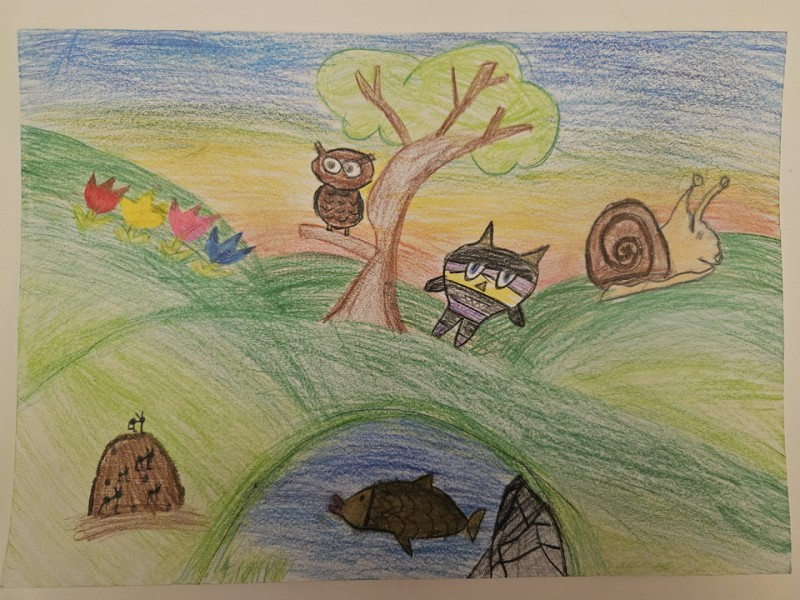 176_Ján Hoffman, ZŠ s MŠ Štúrova 70, Kokava nad Rimavicou