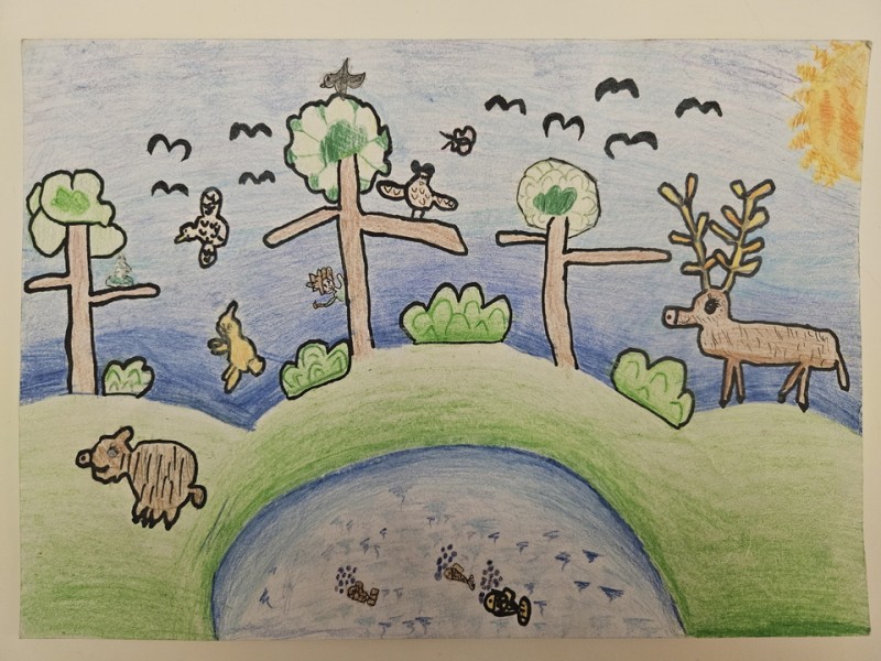 178_Laura Poliačiková, ZŠ s MŠ Štúrova 70, Kokava nad Rimavicou