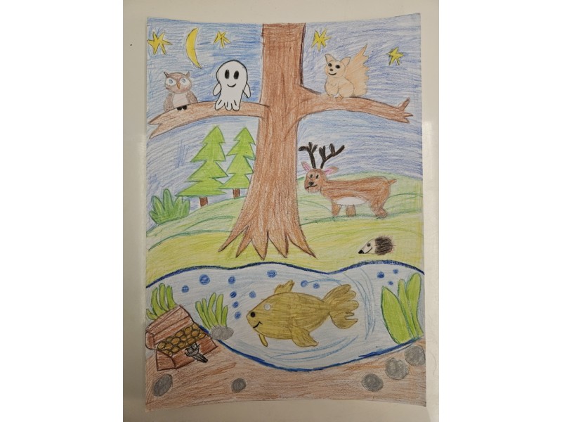 179_Lucka Harvanová, ZŠ s MŠ Štúrova 70, Kokava nad Rimavicou