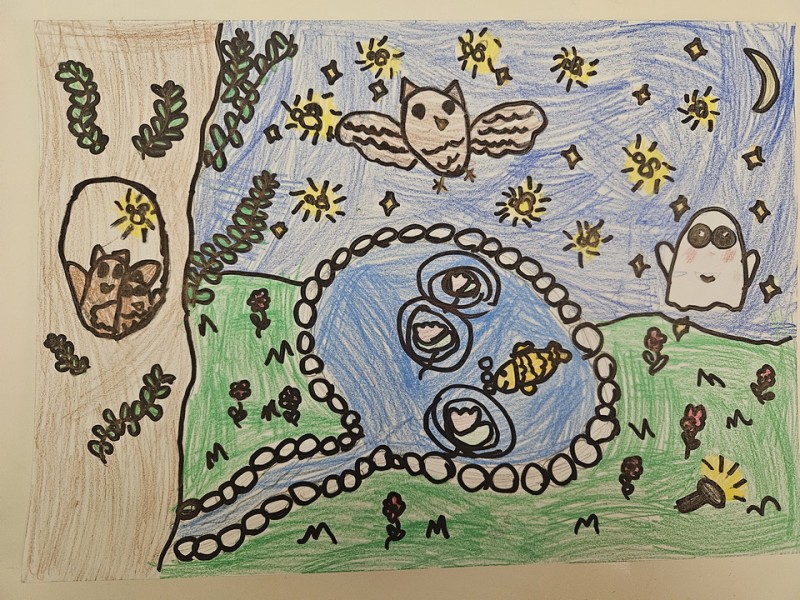 186_Anna Debnárová,  ZŠ s MŠ M. R. Štefánika Školská 8A, Budimír