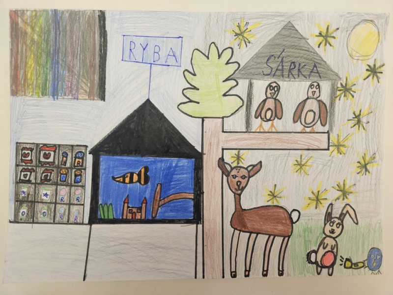 230_Sára Tomašcová, ZŠ s MŠ Dlhé Pole, Dlhé Pole