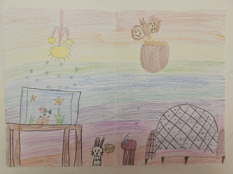 238_Sára Szűcsová, ZŠ Ul. pohraničná 9, Komárno