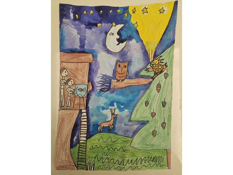 244_Hana Hubačová, ZŠ s MŠ Školská 23, Čereňany