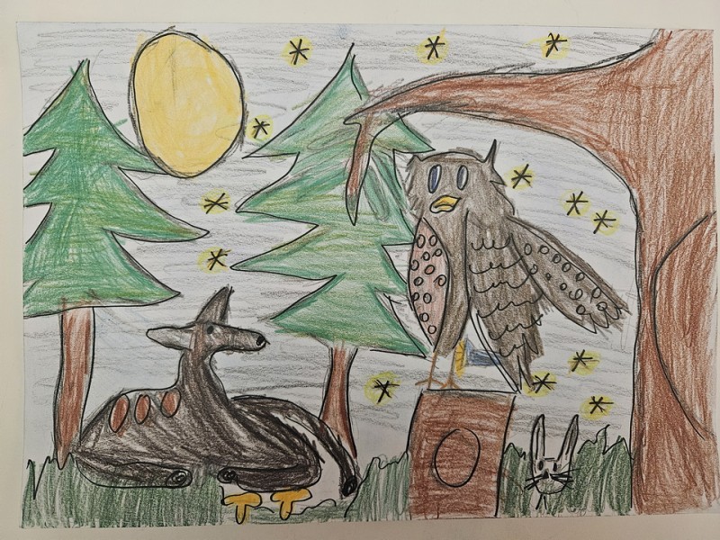 251_Ľubka Vavriňáková, ZŠ s MŠ Novoť 315, Novoť