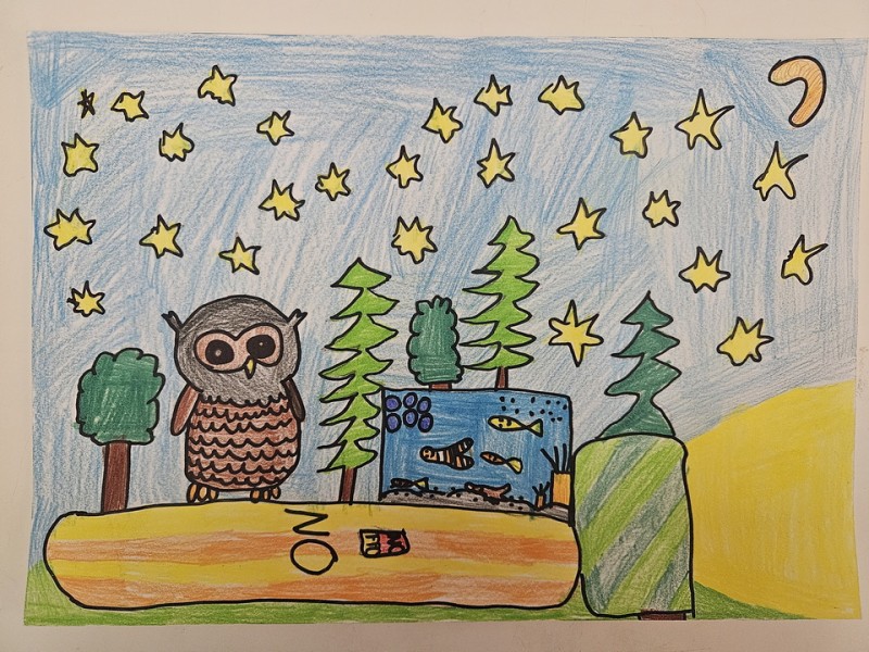 252_Laura Franeková, ZŠ s MŠ Novoť 315, Novoť