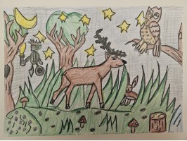 259_Adrián Šogor,  ZŠ s MŠ Novoť  315, Novoť