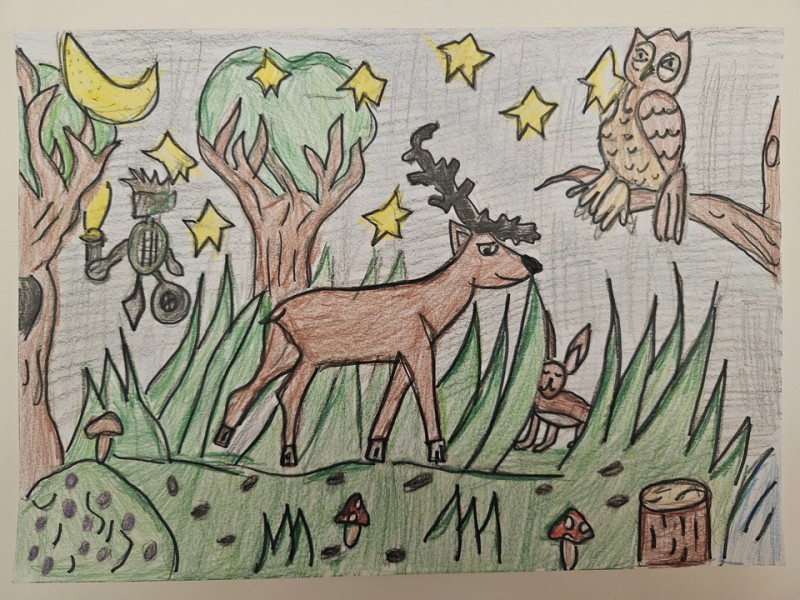 259_Adrián Šogor,  ZŠ s MŠ Novoť  315, Novoť