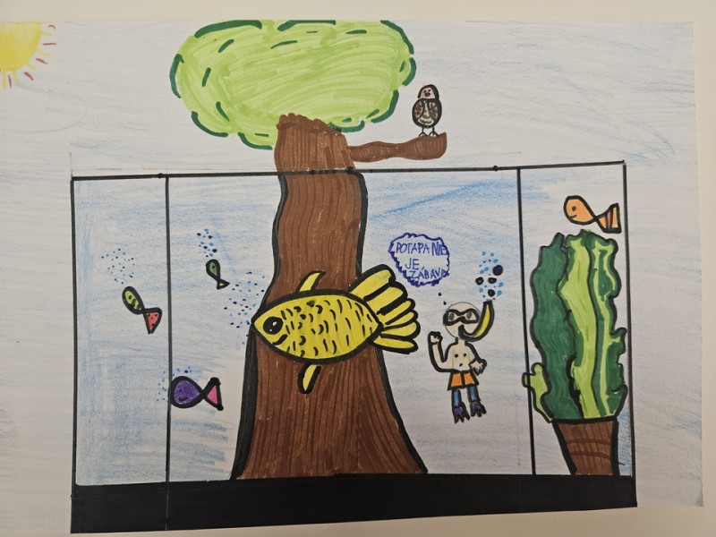 285_Timea Kollárová, ZŠ Školská 2, Lehota pod Vtáčnikom