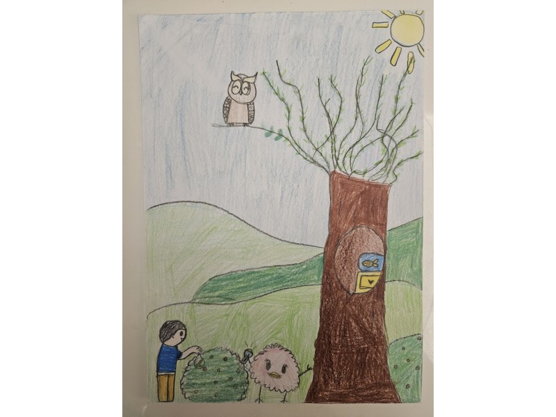 292_Katarína Reisingerová, ZŠ P. Dobšinského 2, Rimavská Sobota