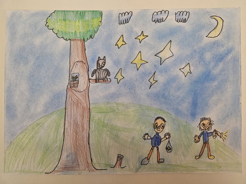 293_Peter Kulčár, ZŠ P. Dobšinského 2, Rimavská Sobota