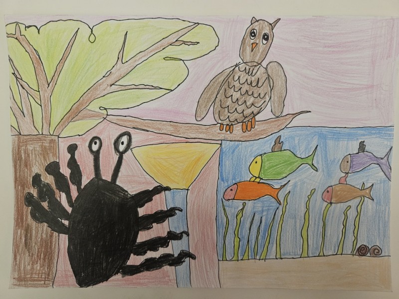 307_Natália Šarközyová, ZŠ Ul. M. R. Štefánika 17, Žiar nad Hronom