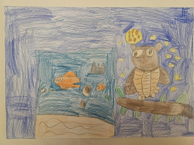 325_Simonka Súkeniková, ZŠ Bobot 63, Bobot