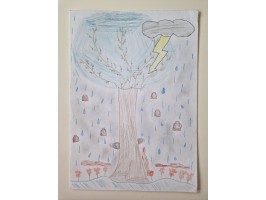 140_Šimon Lapčák, SŠ Dr. Daniela Fischera 2, Kežmarok