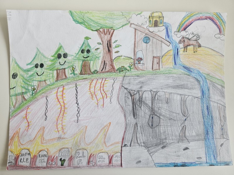 053_Martin Holiček, ZŠ Gorazdova 2, Púchov