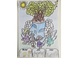 217_Sebastián Borbély, ZŠ Radava 440, Radava